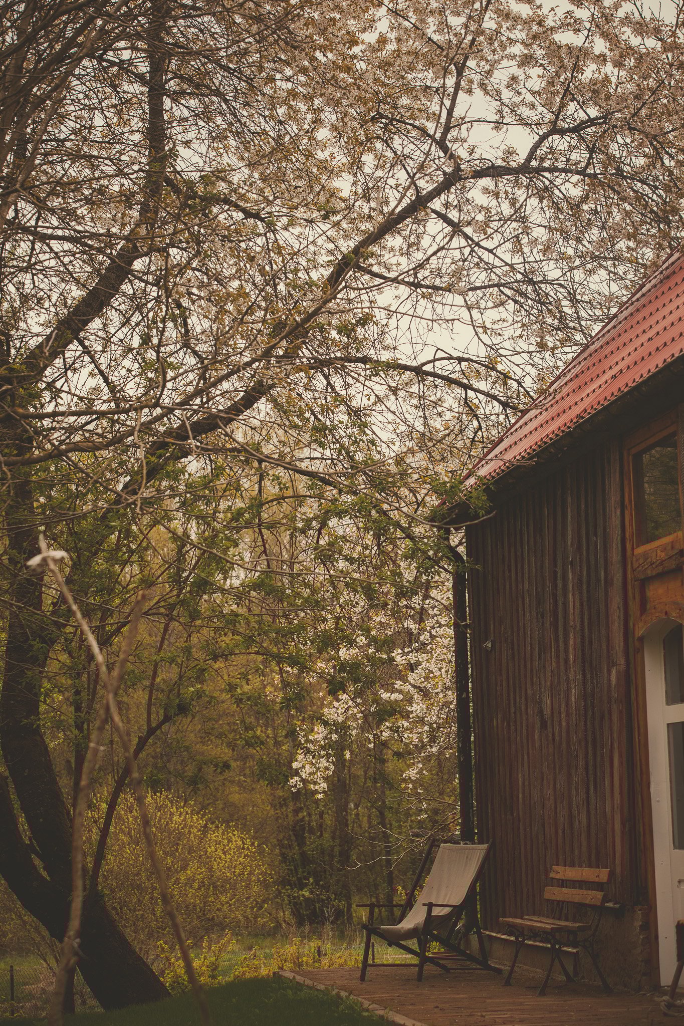 wooden barn-jelonki 2